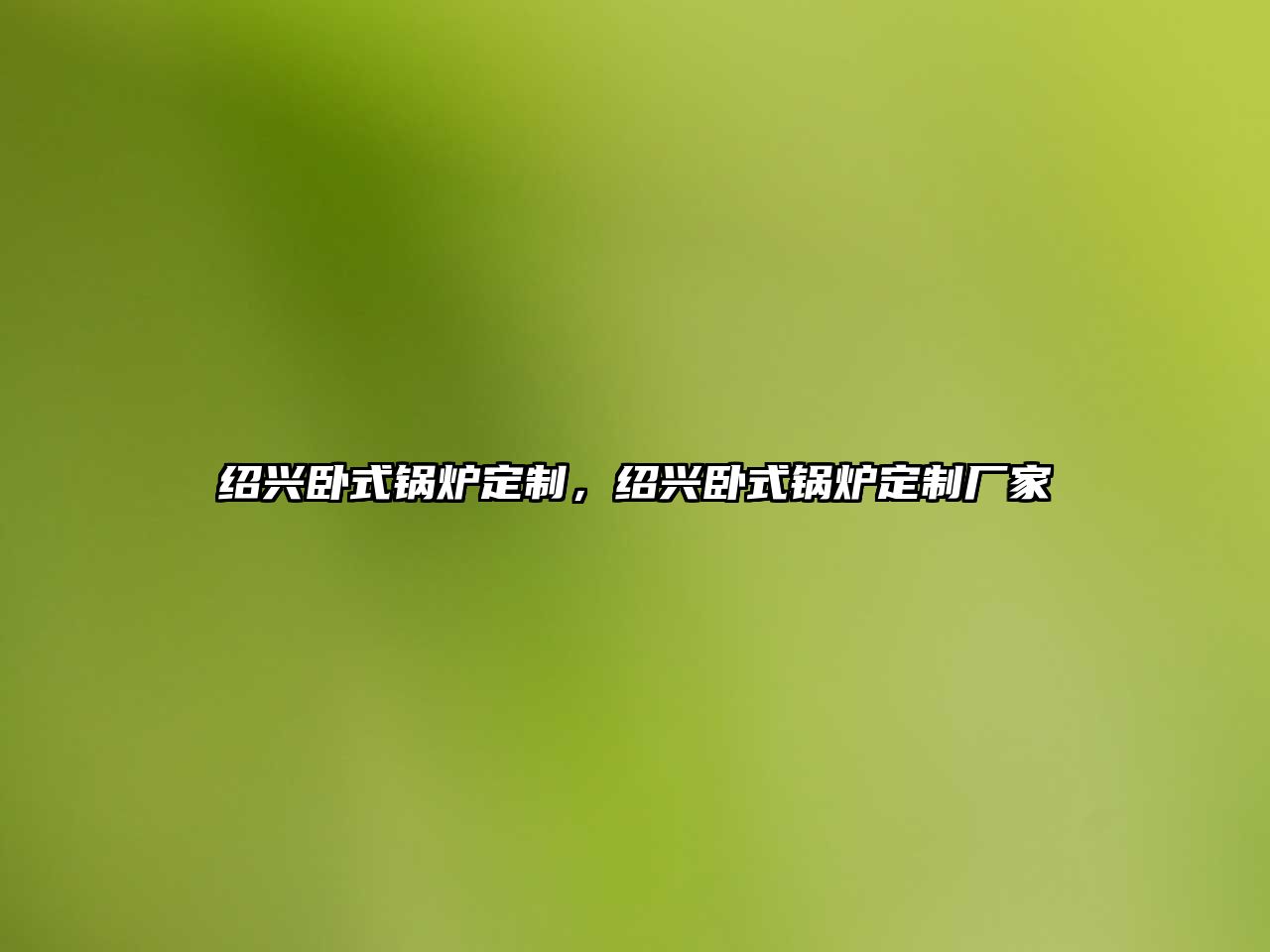 紹興臥式鍋爐定制，紹興臥式鍋爐定制廠家