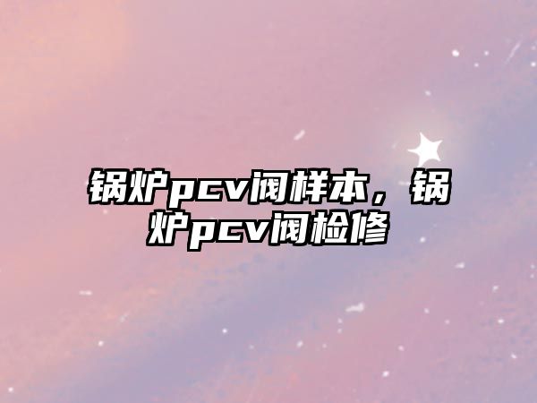 鍋爐pcv閥樣本，鍋爐pcv閥檢修