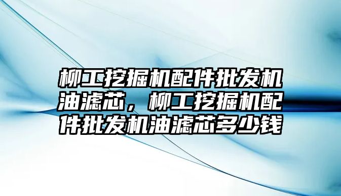 柳工挖掘機配件批發(fā)機油濾芯，柳工挖掘機配件批發(fā)機油濾芯多少錢