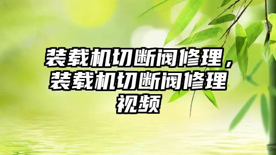 裝載機(jī)切斷閥修理，裝載機(jī)切斷閥修理視頻