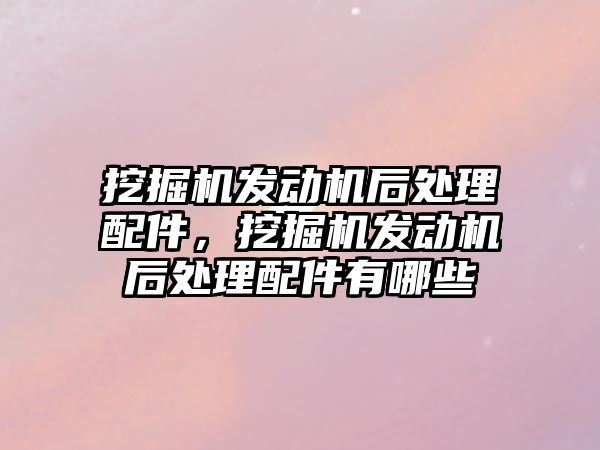 挖掘機發(fā)動機后處理配件，挖掘機發(fā)動機后處理配件有哪些