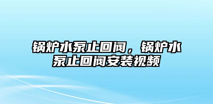 鍋爐水泵止回閥，鍋爐水泵止回閥安裝視頻