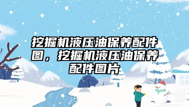 挖掘機液壓油保養(yǎng)配件圖，挖掘機液壓油保養(yǎng)配件圖片