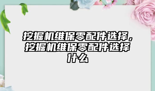 挖掘機(jī)維保零配件選擇，挖掘機(jī)維保零配件選擇什么