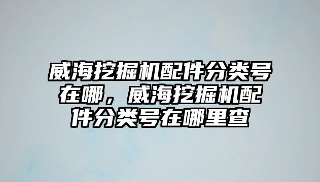 威海挖掘機配件分類號在哪，威海挖掘機配件分類號在哪里查