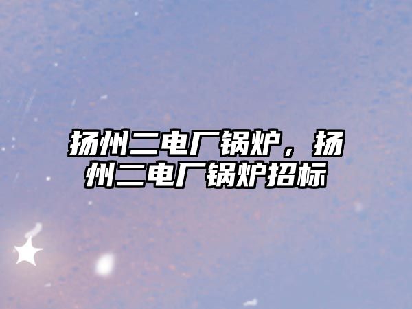 揚州二電廠鍋爐，揚州二電廠鍋爐招標(biāo)