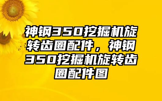 神鋼350挖掘機(jī)旋轉(zhuǎn)齒圈配件，神鋼350挖掘機(jī)旋轉(zhuǎn)齒圈配件圖