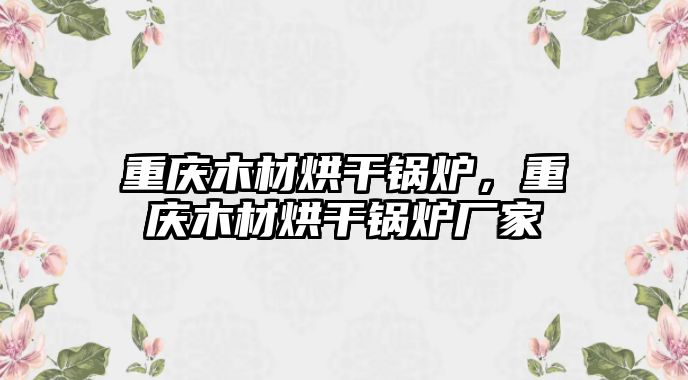 重慶木材烘干鍋爐，重慶木材烘干鍋爐廠家