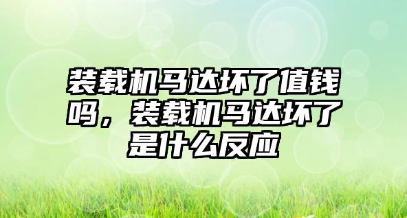 裝載機馬達壞了值錢嗎，裝載機馬達壞了是什么反應(yīng)