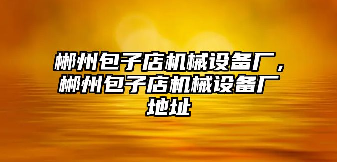 郴州包子店機械設(shè)備廠，郴州包子店機械設(shè)備廠地址