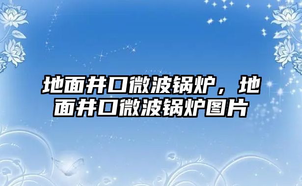 地面井口微波鍋爐，地面井口微波鍋爐圖片