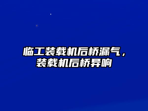 臨工裝載機后橋漏氣，裝載機后橋異響