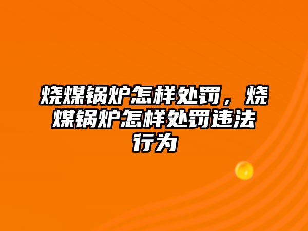 燒煤鍋爐怎樣處罰，燒煤鍋爐怎樣處罰違法行為