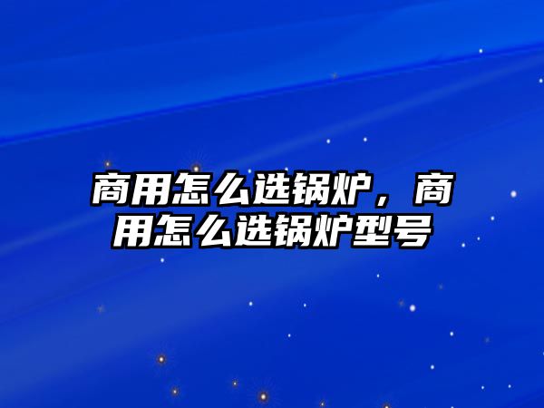 商用怎么選鍋爐，商用怎么選鍋爐型號(hào)