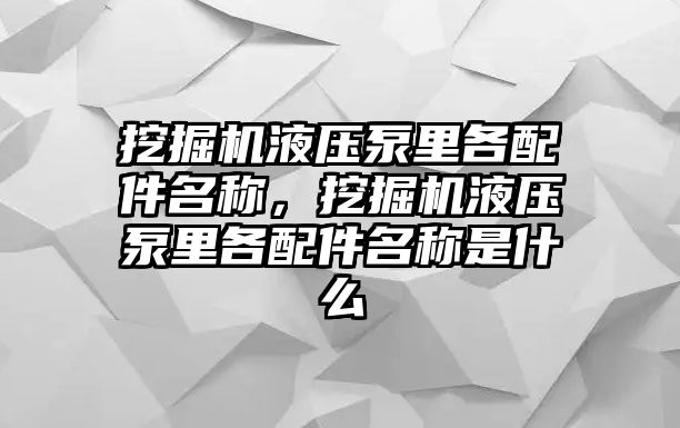 挖掘機(jī)液壓泵里各配件名稱，挖掘機(jī)液壓泵里各配件名稱是什么