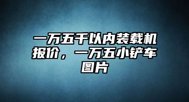 一萬五千以內(nèi)裝載機報價，一萬五小鏟車圖片