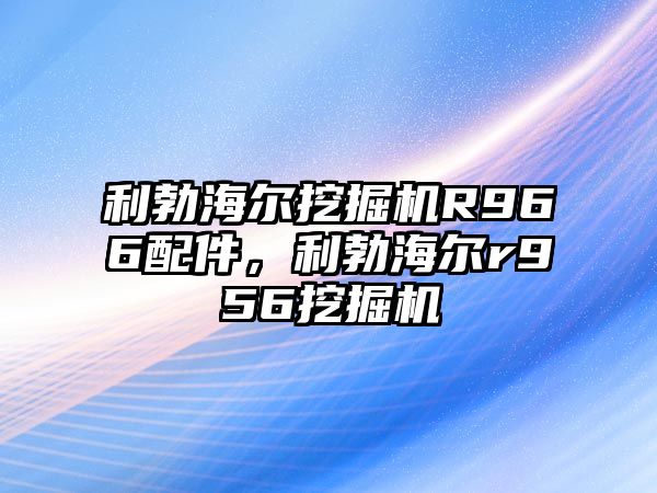 利勃海爾挖掘機(jī)R966配件，利勃海爾r956挖掘機(jī)