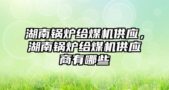 湖南鍋爐給煤機供應，湖南鍋爐給煤機供應商有哪些