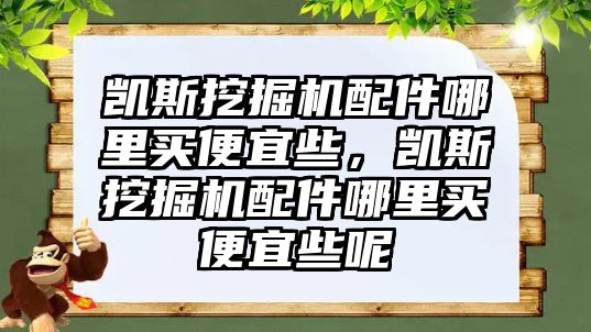 凱斯挖掘機(jī)配件哪里買便宜些，凱斯挖掘機(jī)配件哪里買便宜些呢