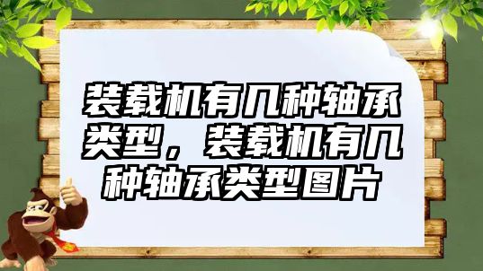 裝載機有幾種軸承類型，裝載機有幾種軸承類型圖片