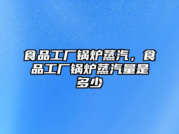 食品工廠鍋爐蒸汽，食品工廠鍋爐蒸汽量是多少