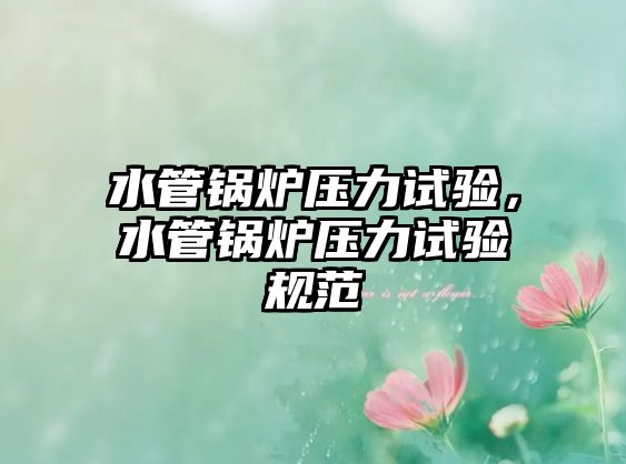 水管鍋爐壓力試驗(yàn)，水管鍋爐壓力試驗(yàn)規(guī)范