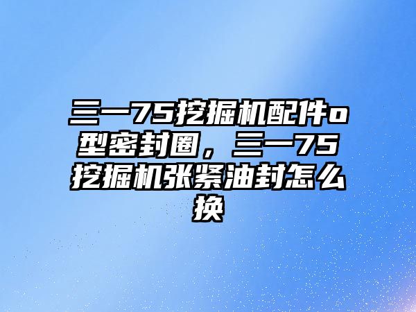 三一75挖掘機配件o型密封圈，三一75挖掘機張緊油封怎么換