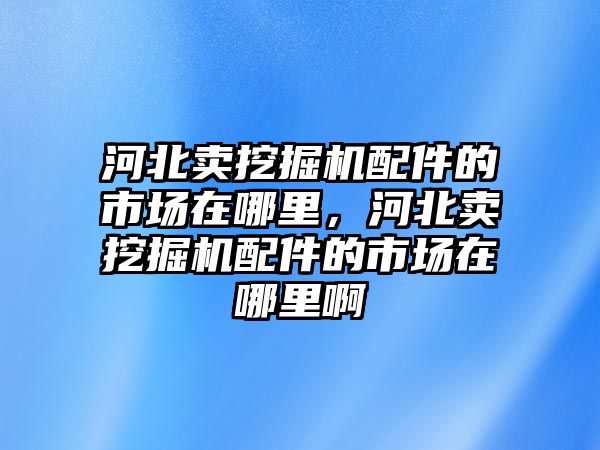 河北賣挖掘機配件的市場在哪里，河北賣挖掘機配件的市場在哪里啊