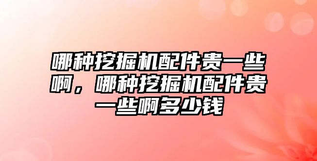 哪種挖掘機(jī)配件貴一些啊，哪種挖掘機(jī)配件貴一些啊多少錢