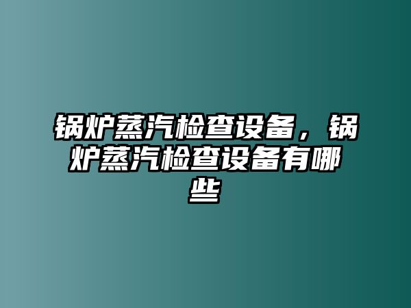 鍋爐蒸汽檢查設(shè)備，鍋爐蒸汽檢查設(shè)備有哪些