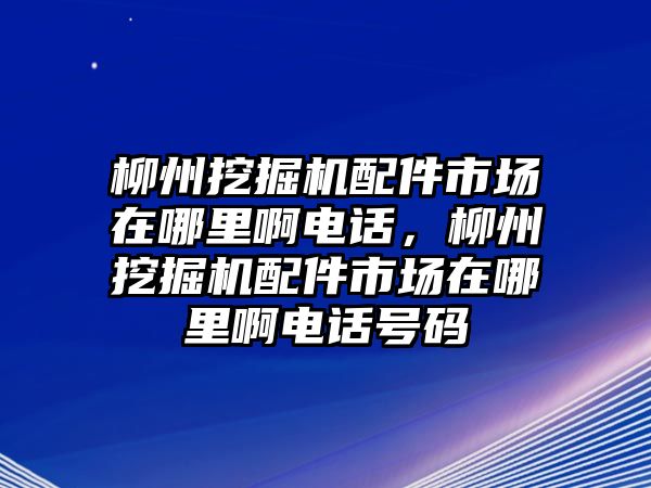 柳州挖掘機配件市場在哪里啊電話，柳州挖掘機配件市場在哪里啊電話號碼