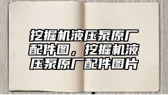 挖掘機液壓泵原廠配件圖，挖掘機液壓泵原廠配件圖片