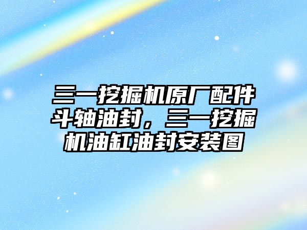 三一挖掘機(jī)原廠配件斗軸油封，三一挖掘機(jī)油缸油封安裝圖