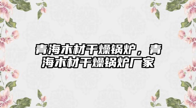 青海木材干燥鍋爐，青海木材干燥鍋爐廠家