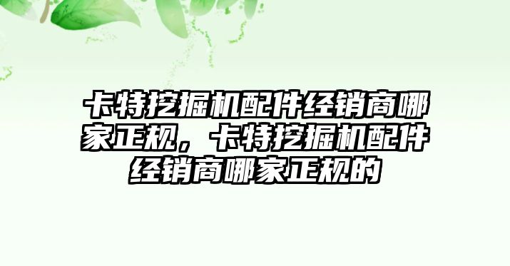 卡特挖掘機(jī)配件經(jīng)銷商哪家正規(guī)，卡特挖掘機(jī)配件經(jīng)銷商哪家正規(guī)的