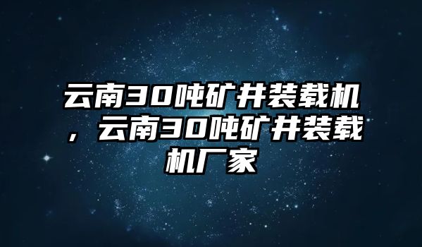 云南30噸礦井裝載機(jī)，云南30噸礦井裝載機(jī)廠(chǎng)家