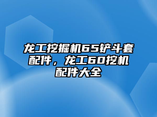 龍工挖掘機(jī)65鏟斗套配件，龍工60挖機(jī)配件大全