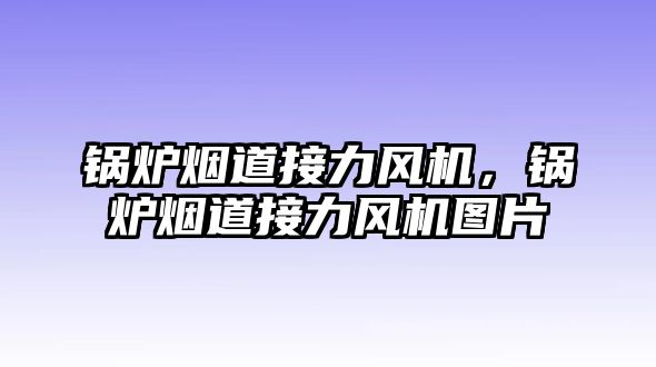 鍋爐煙道接力風(fēng)機(jī)，鍋爐煙道接力風(fēng)機(jī)圖片