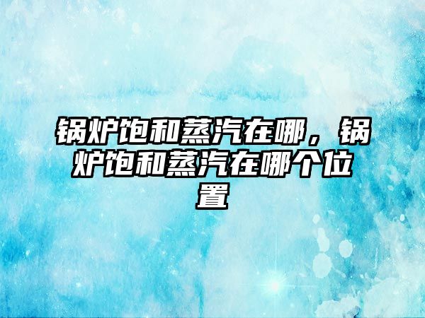 鍋爐飽和蒸汽在哪，鍋爐飽和蒸汽在哪個(gè)位置