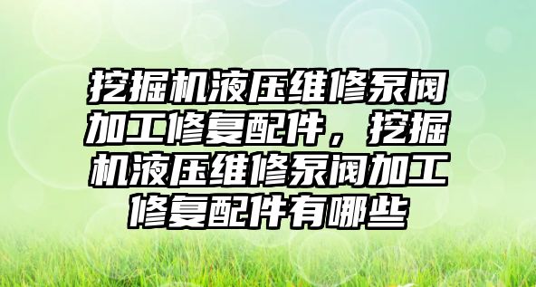 挖掘機液壓維修泵閥加工修復(fù)配件，挖掘機液壓維修泵閥加工修復(fù)配件有哪些