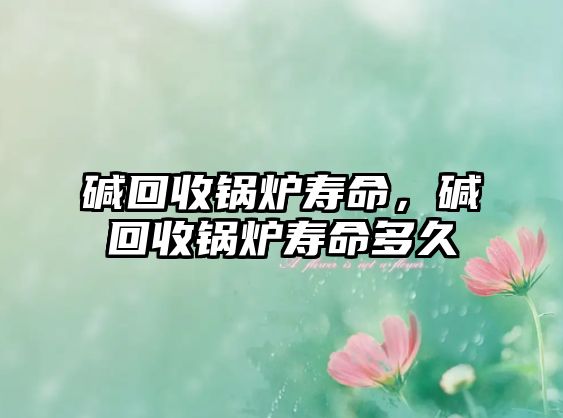 堿回收鍋爐壽命，堿回收鍋爐壽命多久