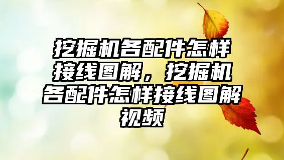 挖掘機各配件怎樣接線圖解，挖掘機各配件怎樣接線圖解視頻