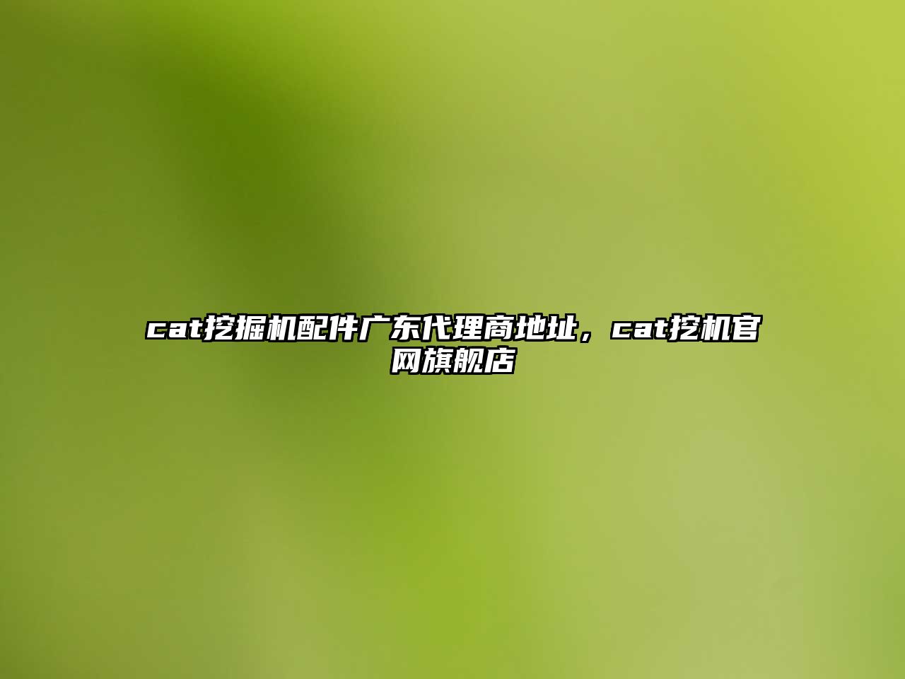 cat挖掘機配件廣東代理商地址，cat挖機官網(wǎng)旗艦店