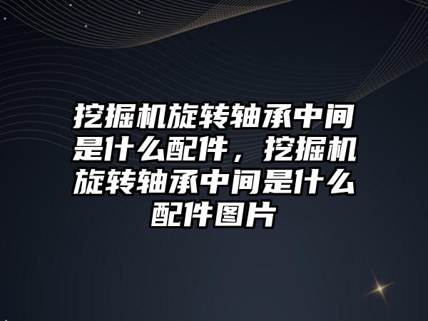 挖掘機旋轉(zhuǎn)軸承中間是什么配件，挖掘機旋轉(zhuǎn)軸承中間是什么配件圖片