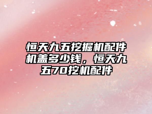 恒天九五挖掘機(jī)配件機(jī)蓋多少錢，恒天九五70挖機(jī)配件