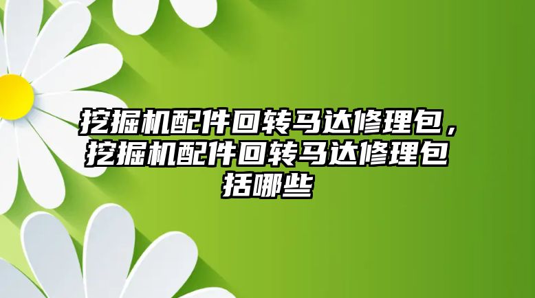 挖掘機配件回轉馬達修理包，挖掘機配件回轉馬達修理包括哪些