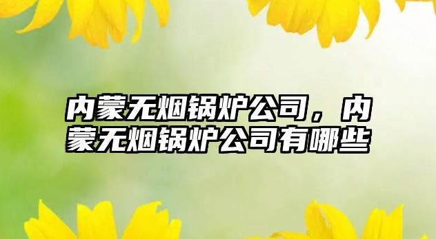 內(nèi)蒙無煙鍋爐公司，內(nèi)蒙無煙鍋爐公司有哪些