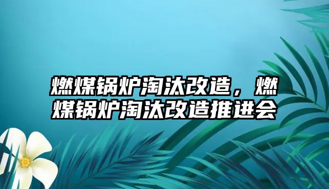 燃煤鍋爐淘汰改造，燃煤鍋爐淘汰改造推進(jìn)會