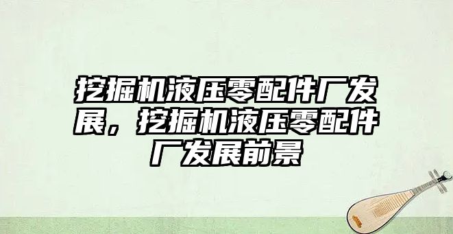 挖掘機液壓零配件廠發(fā)展，挖掘機液壓零配件廠發(fā)展前景