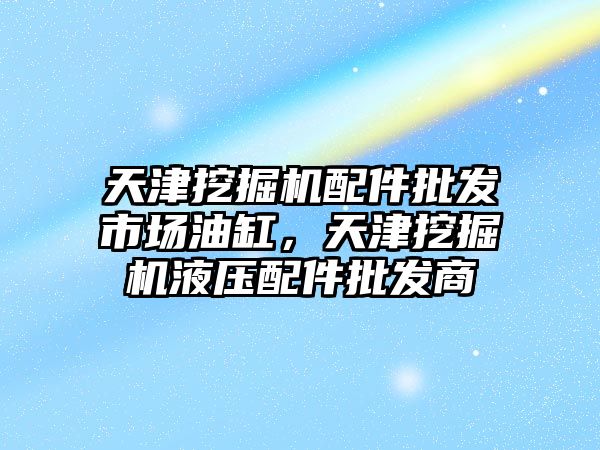 天津挖掘機配件批發(fā)市場油缸，天津挖掘機液壓配件批發(fā)商